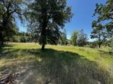 29609 Cedar Creek School Road - Photo 6
