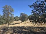 Lot 77 River Downs Way - Photo 6