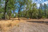 28759 Shingle Creek Lane - Photo 11