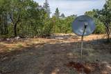 28759 Shingle Creek Lane - Photo 13
