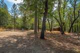 28759 Shingle Creek Lane - Photo 14