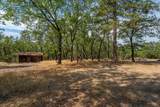 28759 Shingle Creek Lane - Photo 15