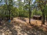 28759 Shingle Creek Lane - Photo 16