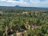 28759 Shingle Creek Lane - Photo 2