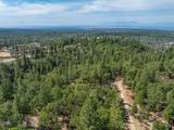 28759 Shingle Creek Lane - Photo 3