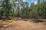 28759 Shingle Creek Lane - Photo 6