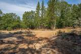 28759 Shingle Creek Lane - Photo 7