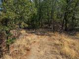 28759 Shingle Creek Lane - Photo 8
