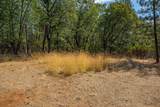 28759 Shingle Creek Lane - Photo 9