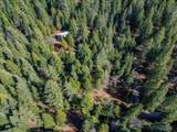 8495 Sky Tree Lane Lane - Photo 30