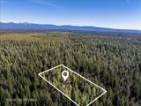 8495 Sky Tree Lane Lane - Photo 4