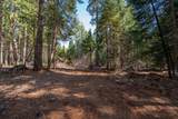 8495 Sky Tree Lane Lane - Photo 46