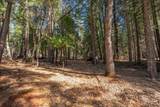 8495 Sky Tree Lane Lane - Photo 50