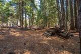 8495 Sky Tree Lane Lane - Photo 51