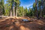 8495 Sky Tree Lane Lane - Photo 53