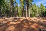 8495 Sky Tree Lane Lane - Photo 54