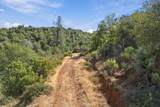 Lot 23 Peppernut Drive - Photo 21