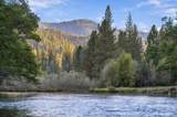2995 Goose Ranch Road - Photo 8