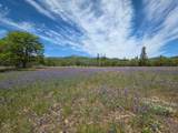 13660 State Highway 3 - Photo 11