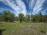 13660 State Highway 3 - Photo 12