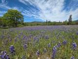 13660 State Highway 3 - Photo 20