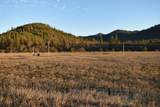 13660 State Highway 3 - Photo 33