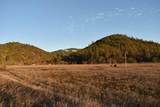 13660 State Highway 3 - Photo 35