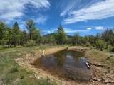 13660 State Highway 3 - Photo 8