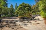 14948 Wonderland Boulevard - Photo 51