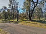 Lot 2 Palm Avenue - Photo 9