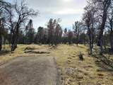 Lot 3 Palm Avenue - Photo 4