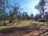 Lot 5 Palm Avenue - Photo 1