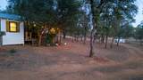 22970 Elk Trail - Photo 49
