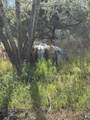 589 Co Rd20 - Photo 6
