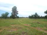 000 Aoudad Drive - Photo 10