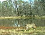 000 Aoudad Drive - Photo 30