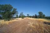  Shire Horse Lane - Photo 15