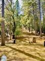 18558 Ycotti Creek Ridge Road - Photo 31
