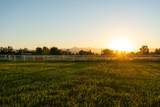 21780 Lone Tree Road - Photo 2