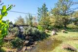 21780 Lone Tree Road - Photo 56