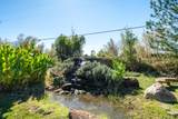 21780 Lone Tree Road - Photo 57