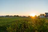 21780 Lone Tree Road - Photo 82