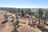 27655 Wildcat Road - Photo 57