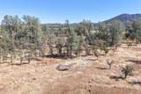 27655 Wildcat Road - Photo 66