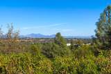 3154 Riesling Path - Photo 45