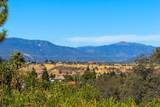 3154 Riesling Path - Photo 48