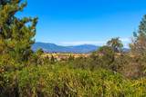 3154 Riesling Path - Photo 49