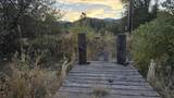 1029 Old Stage Road - Photo 19