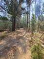 3221 Goose Ranch Road - Photo 14