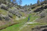 Lot 163 Cottonwood Creek Road - Photo 18